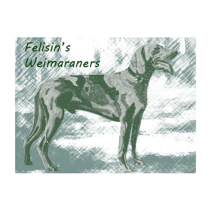Felisin